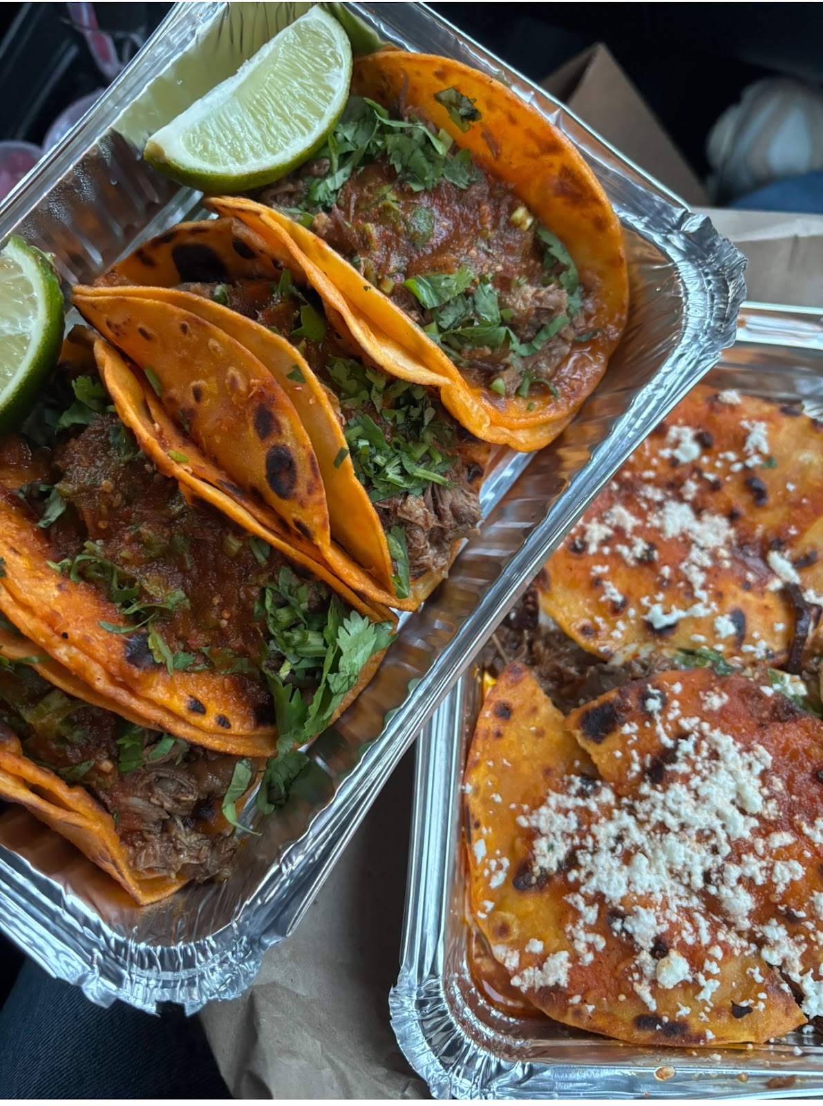 Photo of Birria-Landia