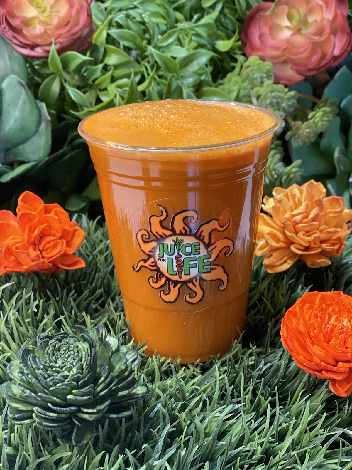 Photo of Juice for Life