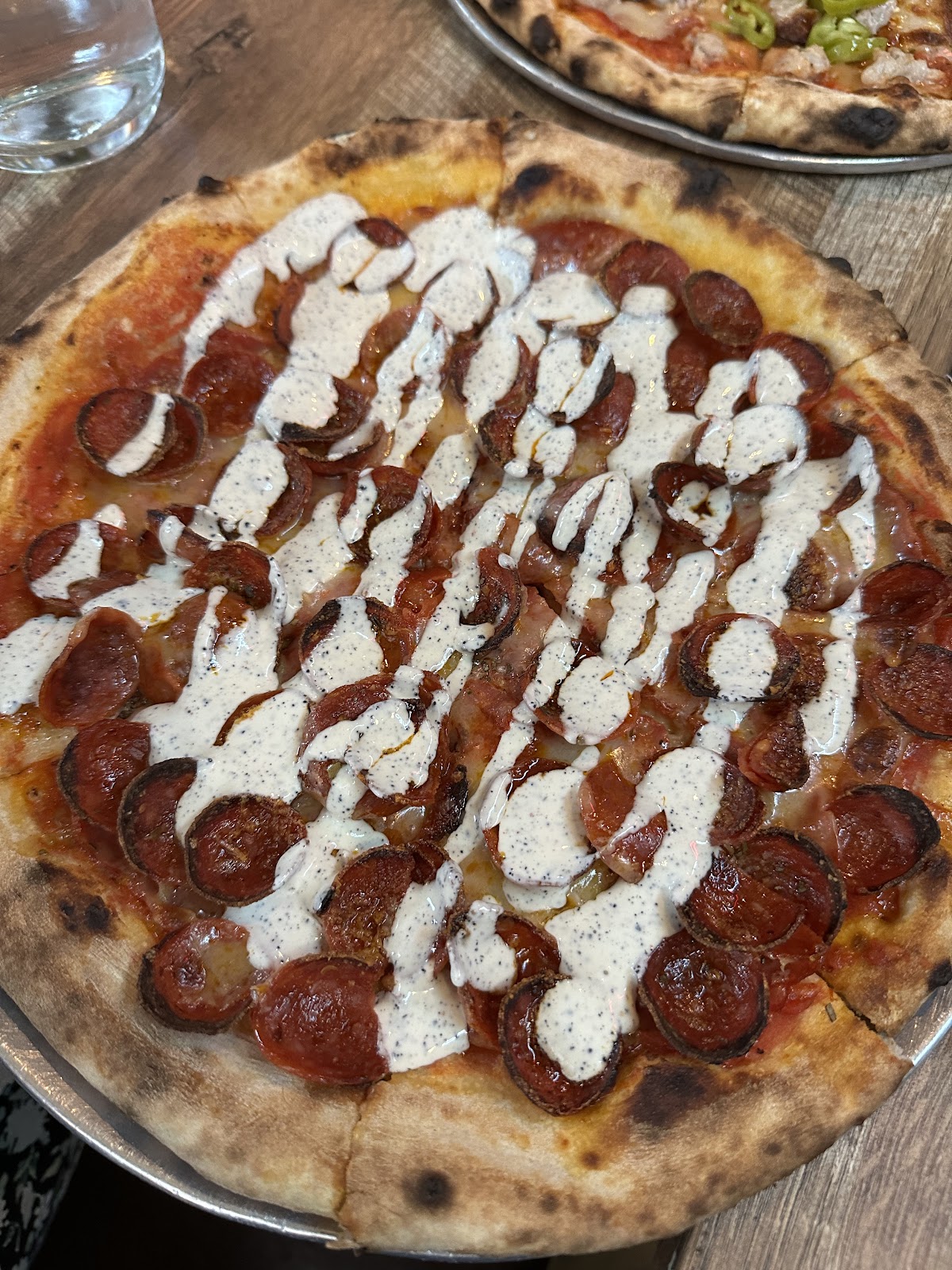 Photo of Speedy Romeo