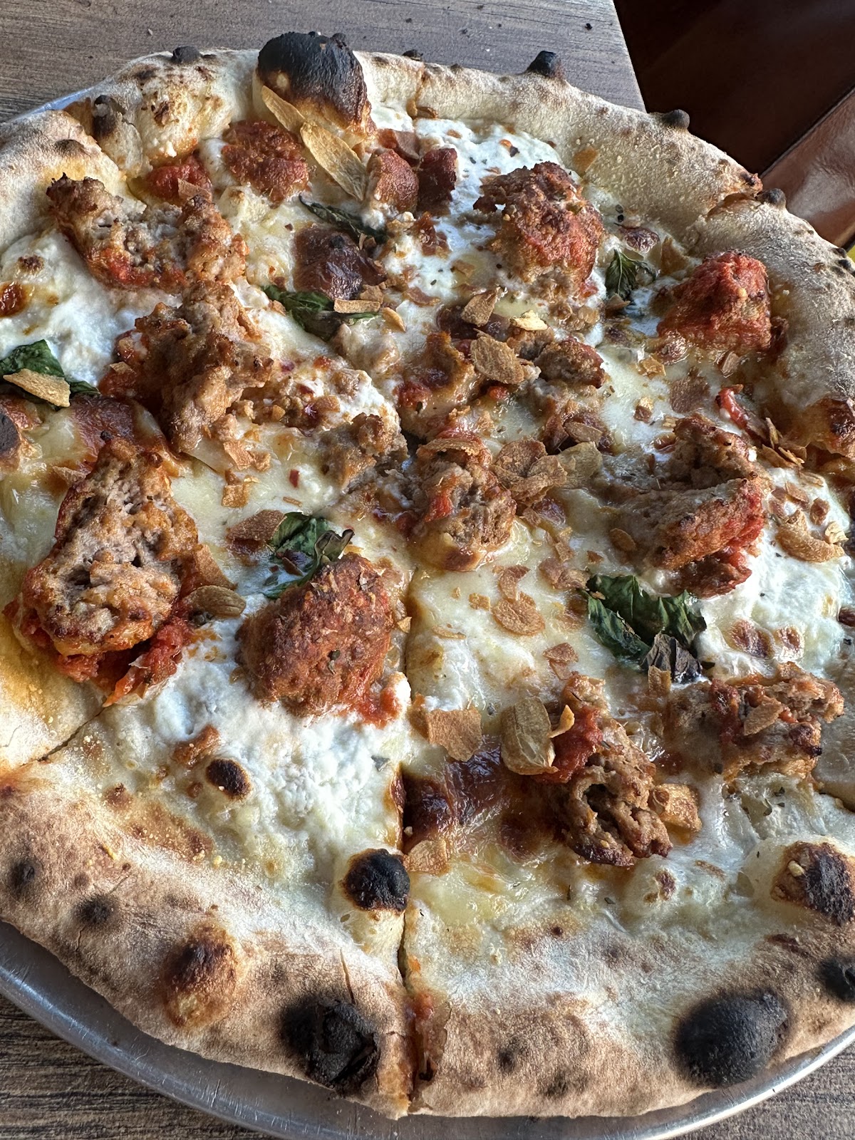 Photo of Speedy Romeo